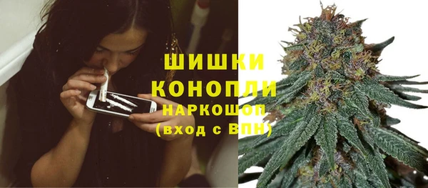 шишки Балахна