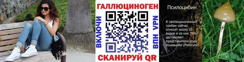 Псилоцибиновые грибы мухоморы  даркнет телеграм  Туран 